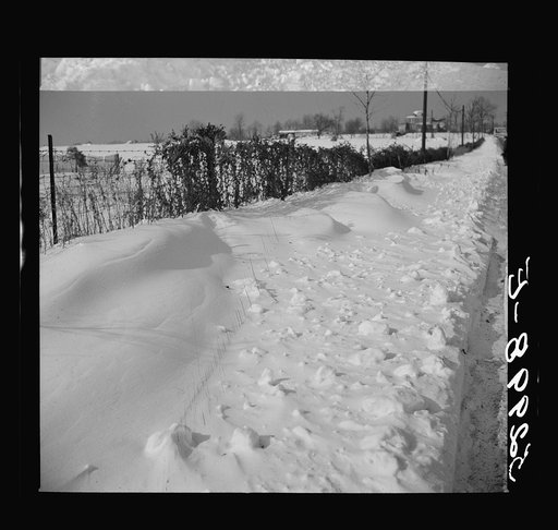 Untitled photo, possibly related to: Farm near Warrenton, Virginia