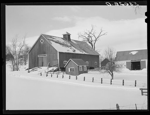 Untitled photo, possibly related to: Barns on R.W. Cassidy's farm, Putney, Vermont. He owns about two hundred acres, has lived here about seventeen years
