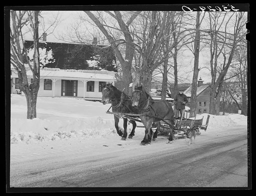 R.W. Cassidy, farmer in Putney, Vermont, hauling manure with his sled and team. He owns about two hundred acres, has lived here about seventeen years. Putney, Vermont
