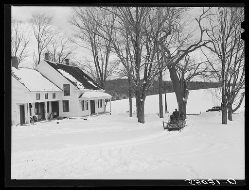 R.W. Cassidy farmer, Putney, Vermont, hauling manure with his sled and team. He owns about two hundred acres, has lived here about seventeen years