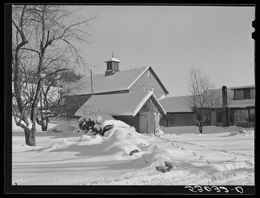 Barns and woodpile on road between Hanover and White River Junction, New Hampshire