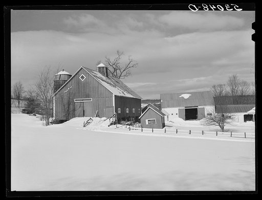 Barns on R.W. Cassidy's farm, Putney, Vermont. He owns about two hundred acres, has lived here about seventeen years