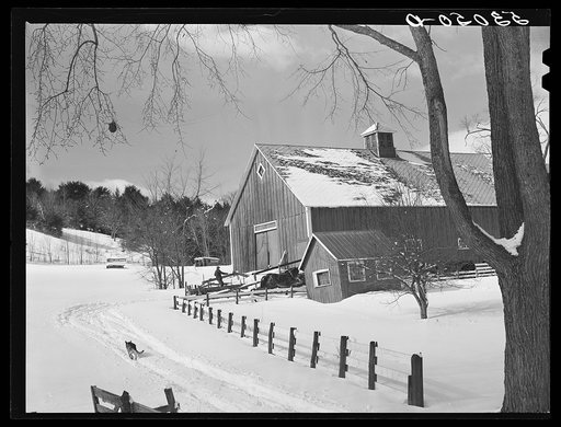 Barns on R.W. Cassidy's farm, Putney, Vermont. He owns about two hundred acres, has lived here about seventeen years
