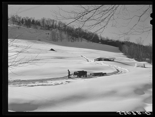 Untitled photo, possibly related to: Barn and truck snowed under after storm. Woodstock, Vermont