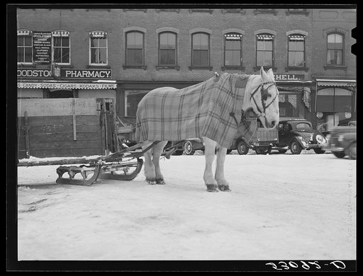 Garbage and rubbish is collected with horse and sled in winter. Woodstock, Vermont