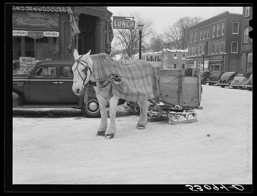 Untitled photo, possibly related to: Garbage and rubbish is collected with horse and sled in winter. Woodstock, Vermont
