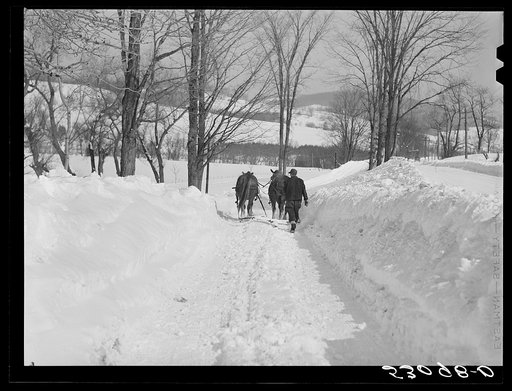 Returning with the horses to the barn after they have hauled the frozen truck up to the gas station on road. Upwey farm, Woodstock, Vermont