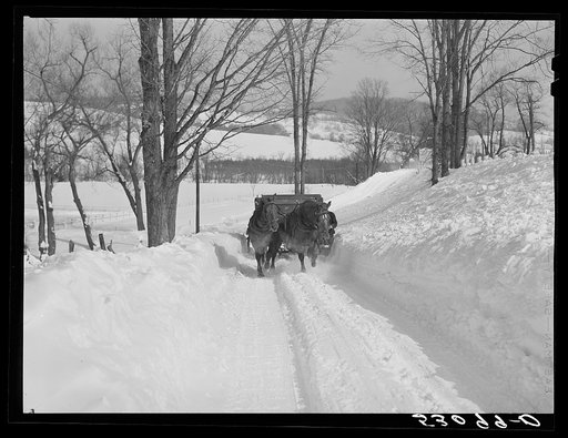 Horses pulling sled along road near Woodstock, Vermont