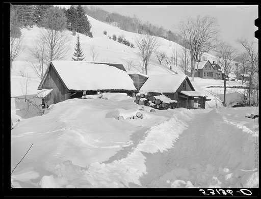 Path leading to farm. Woodstock, Vermont