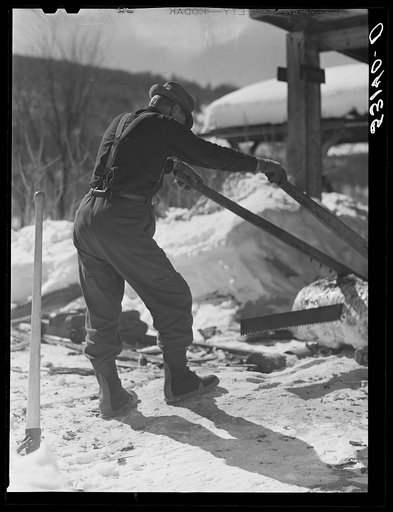Sawing wood on farm. Woodstock, Vermont