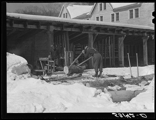 Sawing wood on farm. Woodstock, Vermont