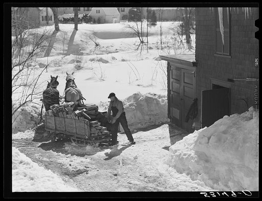 Unloading stove wood from sled woodshed. Woodstock, Vermont
