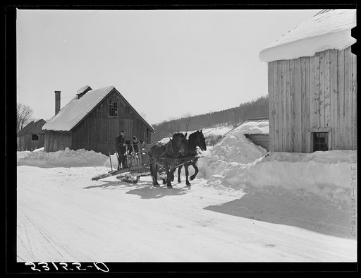 Hauling water in milk cans after pipes have frozen. Putney farm, Woodstock, Vermont