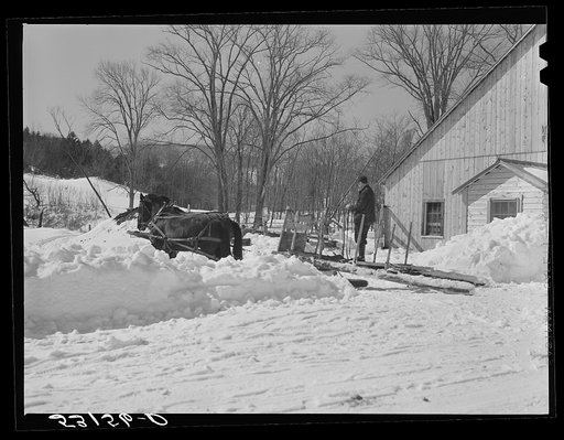 Untitled photo, possibly related to: Taking the horses into new barn after hauling water on Clinton Gilbert's farm. Woodstock, Vermont