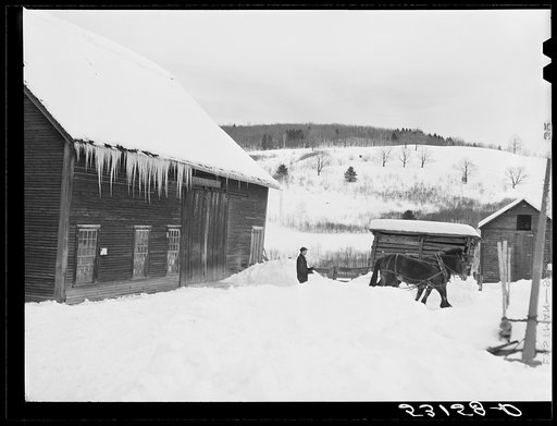 Untitled photo, possibly related to: Hauling water in milk cans after pipes have frozen. Putney farm, Woodstock, Vermont