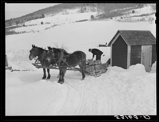Hauling water in milk cans after pipes have frozen. Putney farm, Woodstock, Vermont