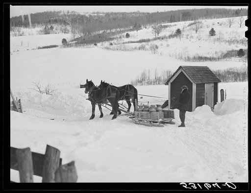 Untitled photo, possibly related to: Hauling water in milk cans after pipes have frozen. Putney farm, Woodstock, Vermont