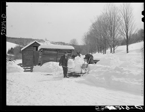 Clearing deep snow out of front barnyard so that if a thaw comes, the cellar and first floor of house and barn will not be flooded. Putney farm, Woodstock, Vermont