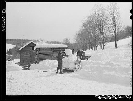 Untitled photo, possibly related to: Clearing deep snow out of front barnyard so that if a thaw comes, the cellar and first floor of house and barn will not be flooded. Putney farm, Woodstock, Vermont