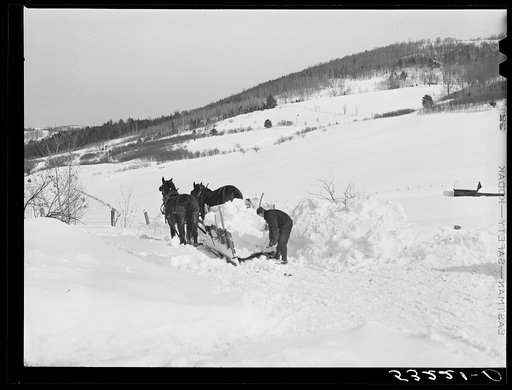 Untitled photo, possibly related to: Clearing deep snow out of front barnyard so that if a thaw comes, the cellar and first floor of house and barn will not be flooded. Putney farm, Woodstock, Vermont