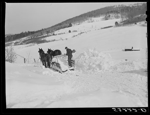 Clearing deep snow out of front barnyard so that if a thaw comes, the cellar and first floor of house and barn will not be flooded. Putney farm, Woodstock, Vermont