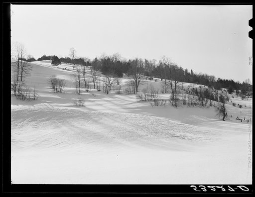 Hillside near Woodstock, Vermont