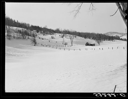 Fields and hillside near Woodstock, Vermont