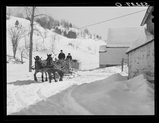 Clinton Gilbert, farmer, and his helper hauling water in milk cans on sled, as their sources of water supply were frozen for two months during very severe winter. Woodstock, Vermont