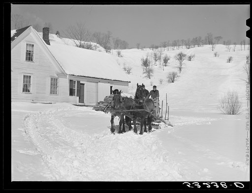 Untitled photo, possibly related to: Clinton Gilbert, farmer, and his helper hauling water in milk cans on sled, as their sources of water supply were frozen for two months during very severe winter. Woodstock, Vermont