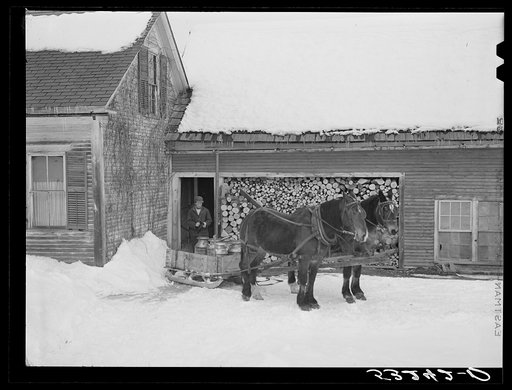 Hauling water in milk cans and sled to Putney farm. All other sources of water supply were frozen for two months. Woodstock, Vermont