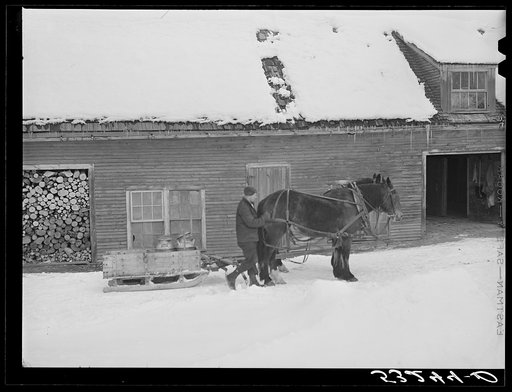 Untitled photo, possibly related to: Hauling water in milk cans and sled to Putney farm. All other sources of water supply were frozen for two months. Woodstock, Vermont