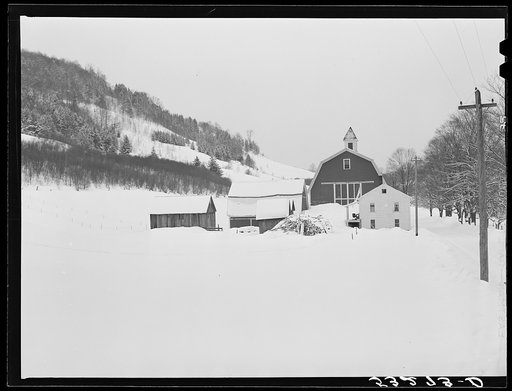 Untitled photo, possibly related to: Field and hillside near Barnard. Windsor County, Vermont