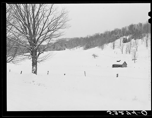 Field and hillside near Barnard. Windsor County, Vermont