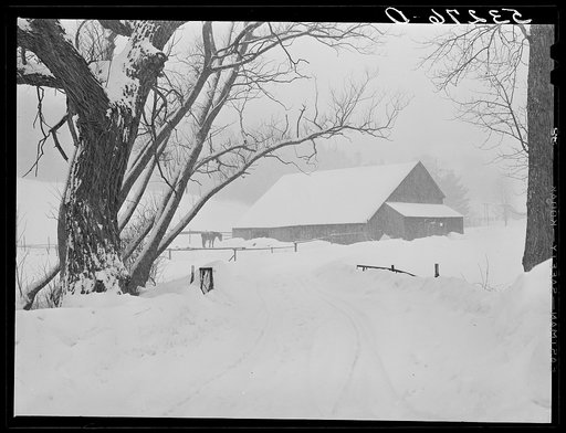 Highway and farm during snowstorm near Barnard. Windsor County, Vermont