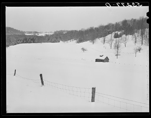 Untitled photo, possibly related to: Field and hillside near Barnard. Windsor County, Vermont