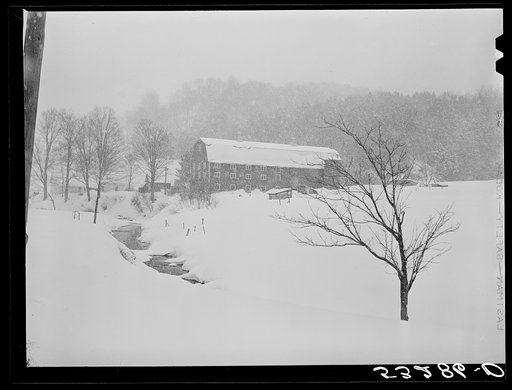 Dairy barn and farm during snowstorm near Barnard. Windsor County, Vermont