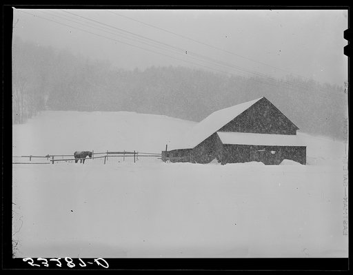 Untitled photo, possibly related to: Dairy barn and farm during snowstorm near Barnard. Windsor County, Vermont