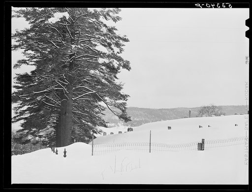 Country graveyard near Taftsville. Windsor County, Vermont