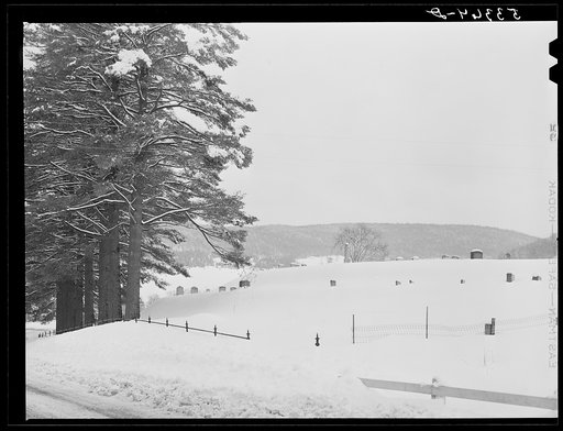 Untitled photo, possibly related to: Skier on top of Cannon Mountain. Franconia Notch, New Hampshire
