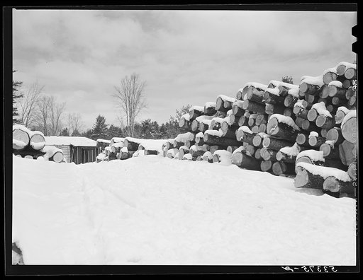 Logs, leveled by 1938 hurricane, piled at sawmill near Warren, New Hampshire