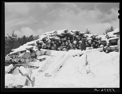 Logs leveled by 1938 hurricane piled near sawmill near Warren, New Hampshire