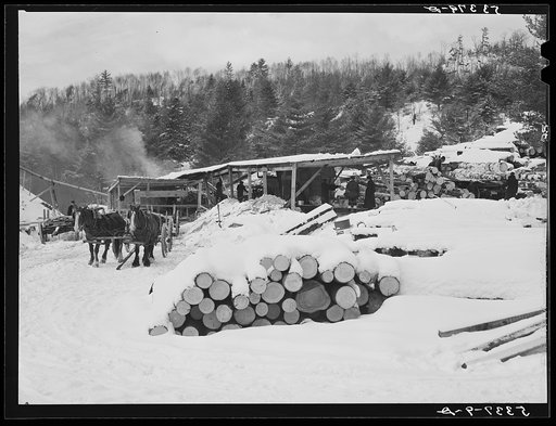 Untitled photo, possibly related to: Logs leveled by 1938 hurricane piled at sawmill near Warren, New Hampshire