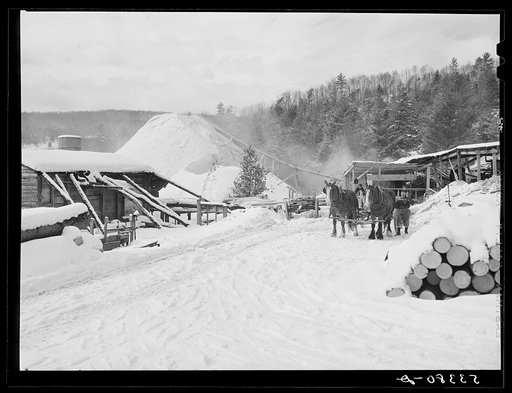 Logs leveled by 1938 hurricane piled at sawmill near Warren, New Hampshire