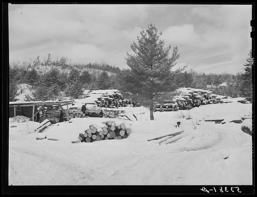 Logs leveled by 1938 hurricane piled at sawmill near Warren, New Hampshire
