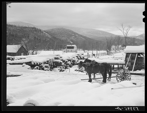 Timber leveled by the 1938 hurricane piled at a saw mill just outside of Warren, New Hampshire