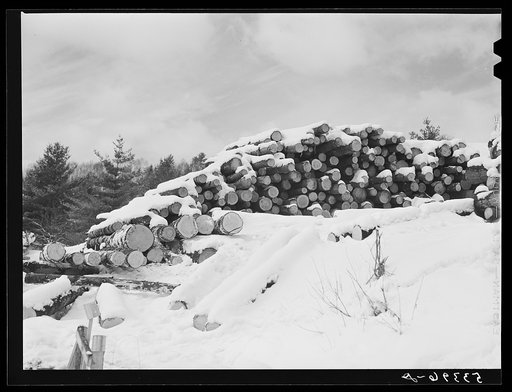 Untitled photo, possibly related to: Timber leveled by the 1938 hurricane piled at a saw mill just outside of Warren, New Hampshire