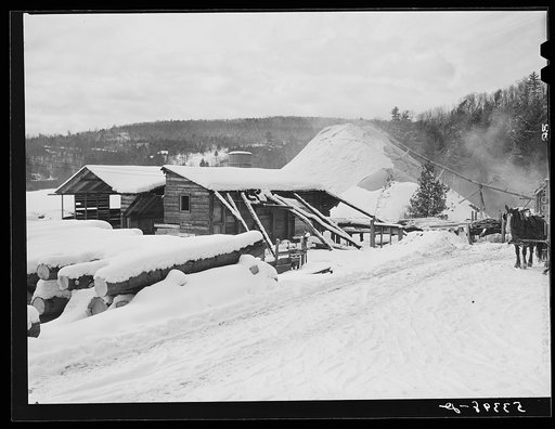 Untitled photo, possibly related to: Timber leveled by the 1938 hurricane piled at a saw mill just outside of Warren, New Hampshire