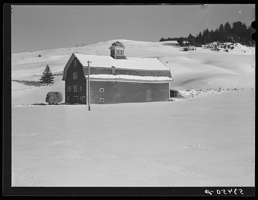 Dairy barn with truckload of hay on farm near Stowe, Vermont