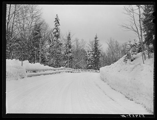Road up to Mount Moosilauke near Warren, New Hampshire