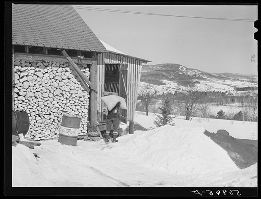 Mr. Dickerson carrying sack of feed into shed on his farm. Lisbon, near Franconia, New Hampshire